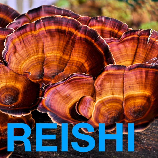 Mushrooms
