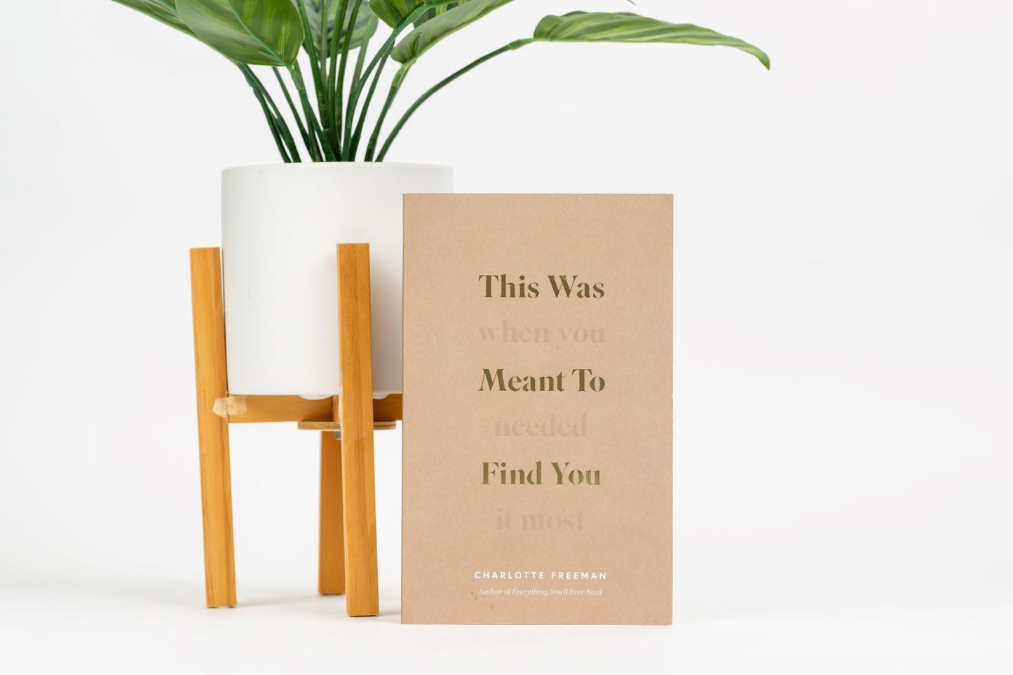 This Was Meant To Find You-Book-Moonbow