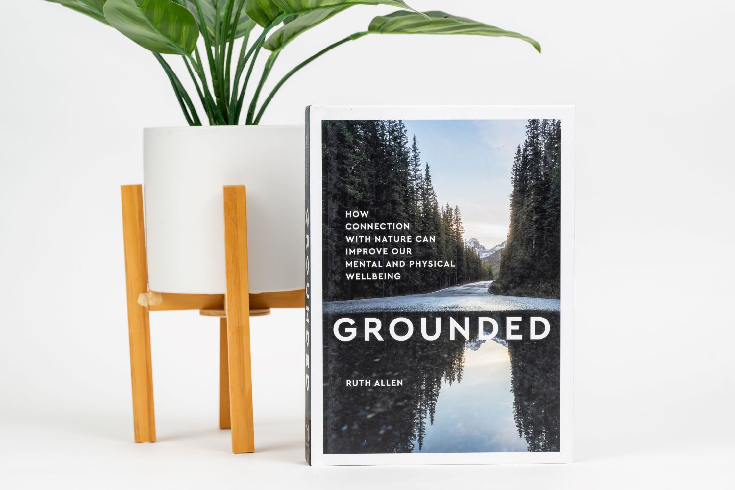 Book and plant in pot