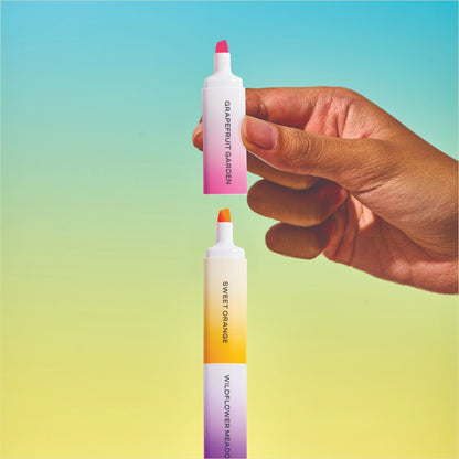 Lifelines Writing Wellness Gift Set