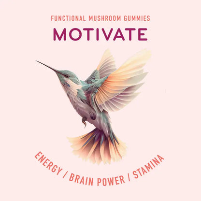 Bird and motivational speech